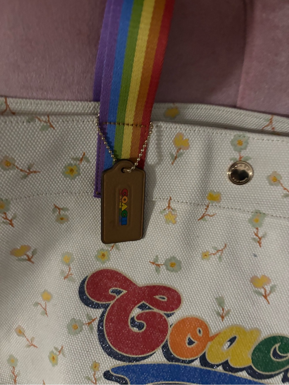 Coach Tote With Rainbow Roller Skate Graphic C4099 Pride Collection - Picture 15 of 15
